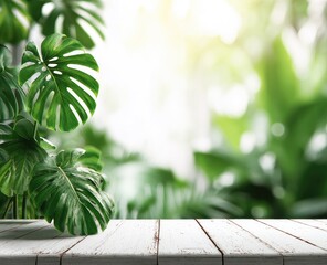 Leafy monstera on white table, blurred garden backdrop