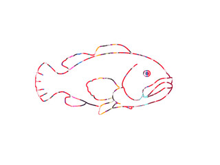 Fish is drawn in a very colorful way