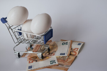 Poultry farming economics: chicken eggs and Euro currency for pricing and valuation