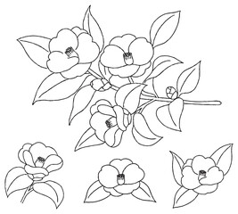 椿の花　手描きのモノクロ線画イラスト