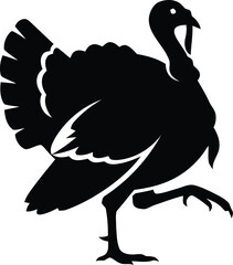 Silhouette of a strutting turkey with fanned tail feathers