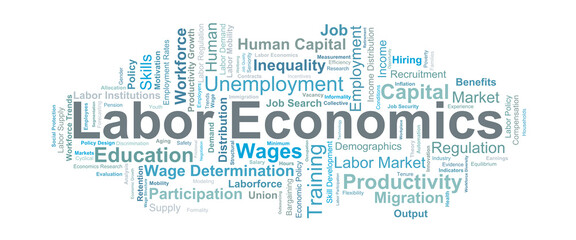 Labor Economics Word Cloud. Key concepts covering wages, employment, human capital, productivity, and policy factors shaping modern labor markets and workforce dynamics.