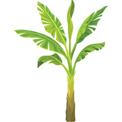 Isolated Banana Plant with Vibrant Green Leaves and Textured Trunk on Transparent Background Detailed Illustration