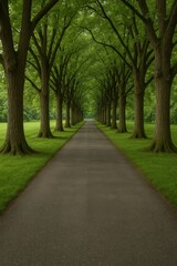 Fototapeta premium Symmetrical Tree Alley with Paved Road and Lush Green Grass - Nature Tunnel Pathway