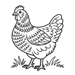 A black and white  hen coloring page 