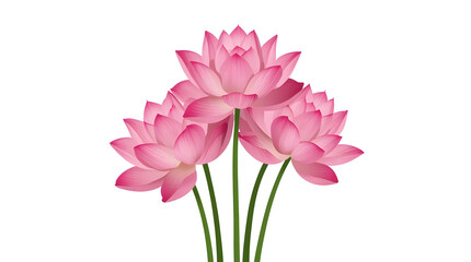 Beautiful bouquet of Lotus flower and in a natural floral arrangement