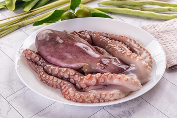 Gourmet luxury raw wild octopus © Andrei Starostin