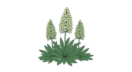 Vibrant group of green succulent plants with tall flowering stalks, showcasing natural beauty, growth, and unique botanical forms.