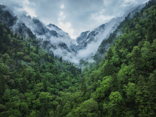 Obraz premium Aerial view of beautiful high altitude snow capped mountain and forest landscape