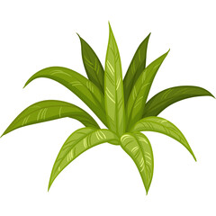 Pixel Art Green Plant With Long Leaves In A Clump With White Stripes On A Transparent Background
