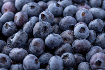 Fresh blueberry background. Blueberry Texture Close Blueberry Antioxidant Organic Superpeed Bowl Concept Healthy Nutrition