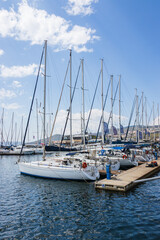 Fototapeta premium yachts in marina on a sunny day