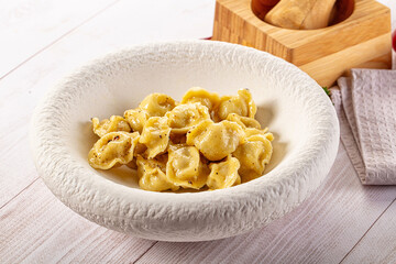 Tasty Russian dumplings with meat