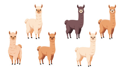 Obraz premium A vibrant collection of cute and friendly cartoon llamas in various natural colors, standing on a clean white background, perfect for designs.