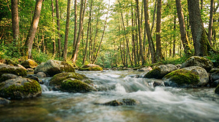 Obraz premium A vibrant forest scene with a clear stream cascading over moss-covered rocks, bathed in dappled sunlight.