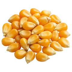 Golden corn kernels close up with smooth texture and natural shine, fresh and ready for cooking or planting