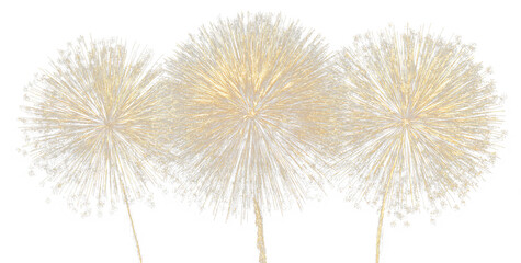 Colorful sparkle firework light burst festive transparent PNG