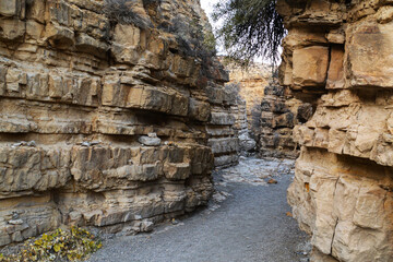 A canyon in the desert. Bare mountains and a canyon. Beautiful nature like on planet Mars. The rocky walls of the canyon are high. Mountain landscape