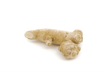 Ginger root arranged under white studio lights.