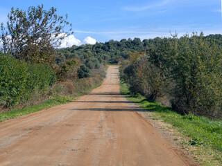 A country road among gardens on Evia Island in Greece