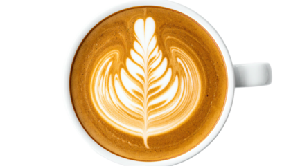 Overhead shot of latte art with a leafy design in a white cup