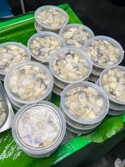 Fresh oyster in the plastic box sale in the local market near the sea in Thailand