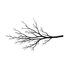 black and white feather