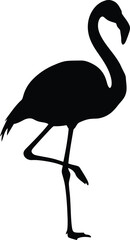 Elegant flamingo silhouette elegant bird wildlife icon vector vector