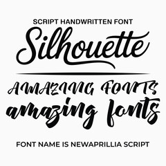 Script Font Examples with Font Name handwritten typography