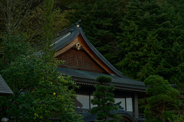 A majestic Japanese house nestled in the forest.