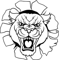 A panther, leopard or cougar wildcat cat jaguar sports team mascot
