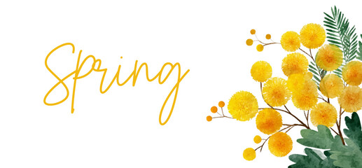 Spring floral greeting card with delicate watercolor yellow mimosa flowers. Spring floral banner in watercolor. Elegant botanical illustration perfect for spring designs, March 8, Mother's Day etc.