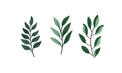 Fototapeta premium Set of three isolated green leaf branches with minimalist flat style on white background for natural botanical design elements vector illustration