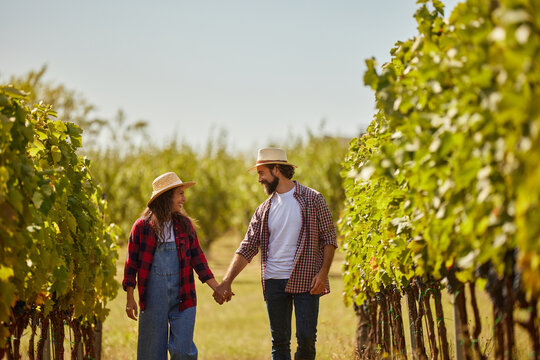 A couple strolls together through their family vineyard, smiling and holding hands. The sun shines brightly, illuminating the lush green grapevines ready for harvest. - Powered by Adobe
