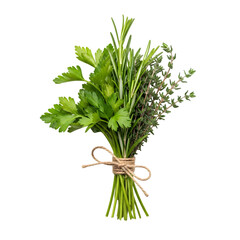 Obraz premium Fresh Herb Bouquet Tied with Twine