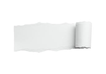 Torn paper with white background, isolated on transparent background, showing rough edges and a rolled up section