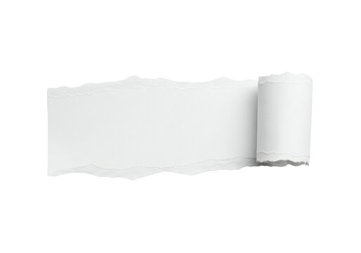 Torn paper with white background, isolated on transparent background, showing rough edges and a rolled up section