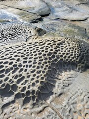 Stone texture background with honeycomb weathering pattern on coastal rock surface at low tide, Moffat Beach, Queensland, Australia 