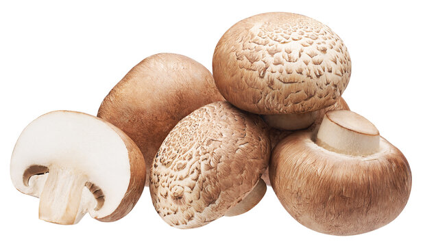 Heap of brown button mushrooms isolated