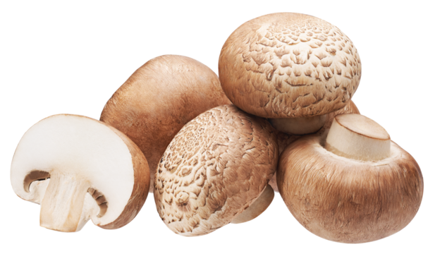 Heap of brown button mushrooms isolated