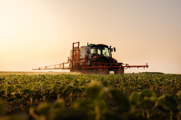 Naklejka premium Tractor spraying crops in a lush green field at sunset.