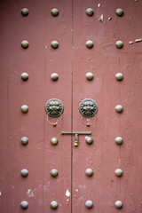 Beautifully crafted door with lion knockers