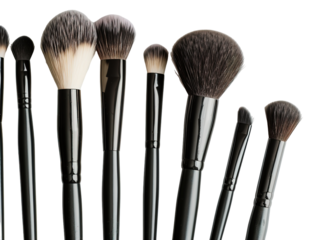 A set of professional makeup brushes is neatly arranged against a transparent background, showcasing various sizes and shapes perfect for any makeup application needs