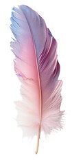 Fototapeta premium Iridescent hummingbird feather with shades of pink and blue is isolated against a transparent background, highlighting its delicate structure and beauty. Perfect for artistic projects