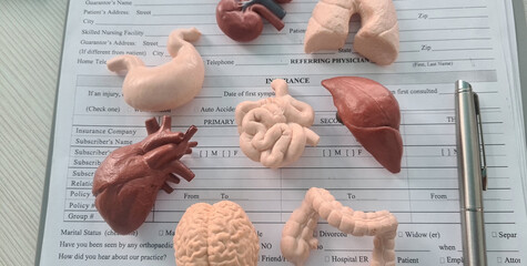 Human Organ Models on Medical Insurance Form:A Close-Up View of a Desk With a Medical Insurance Form and Eight Different Human Organ Models