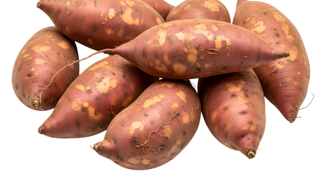 Pile of fresh sweet potatoes ready for cooking meal