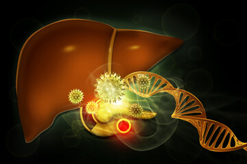Human liver, integrate their DNA into the host genome, and the molecular mechanisms that lead to chronic liver disease. 3d illustration