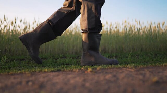 Walk in rubber boot across field with grass and mud on sole while pant leg brushes boot and gait suggests farmer on dirt path under warm sunset light, earthy rural agricultural and rustic feel image