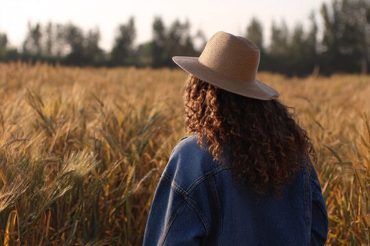 Individual gazes out over a golden wheat field at sunset - Powered by Adobe