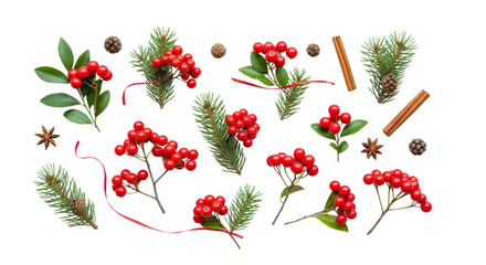 Christmas flat lay arrangement of rowan berries, evergreen sprigs, cinnamon sticks and anise stars isolated PNG with Transparent Background